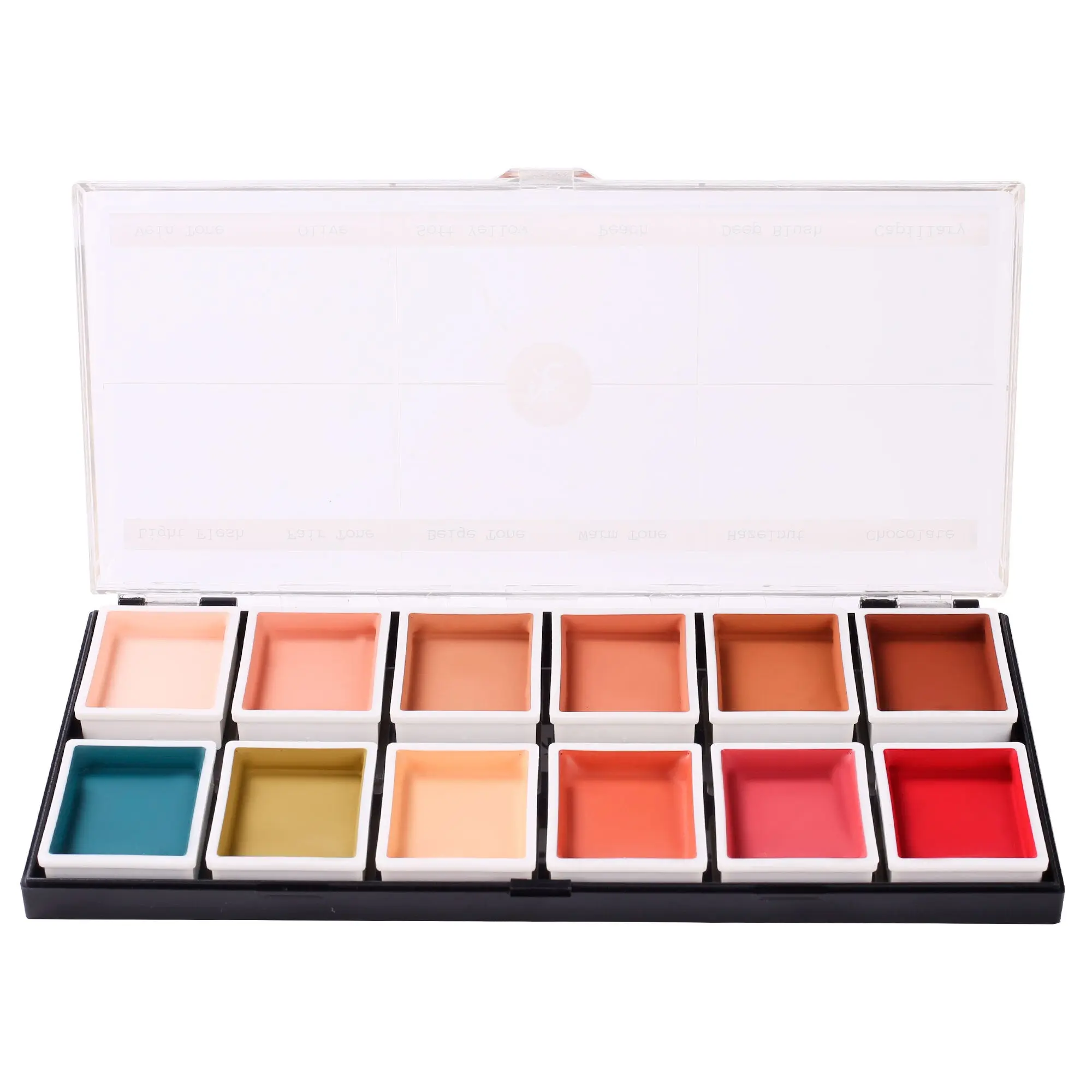 12 Color Flesh Tone Alcohol Activated Palette