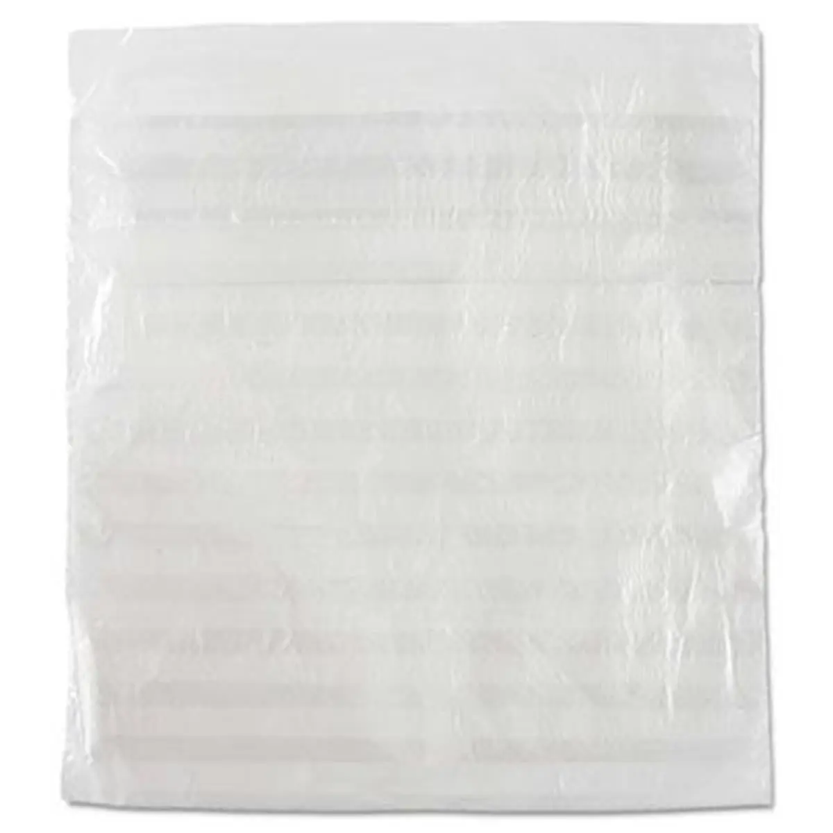 Inteplast Group Food Bags