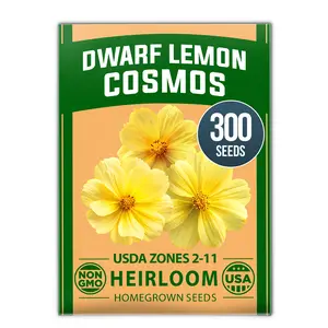 Cosmos Seeds Dwarf Lemon – 300 Dwarf Cosmos Flower Seeds for Planting, Compact Yellow Blooms, Heat Tolerant Annual for Outdoor Gardens (.2g) – Cosmos sulphureus ‘Dwarf Lemon’