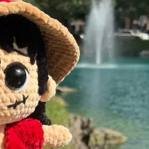 Straw Hat Pirate L