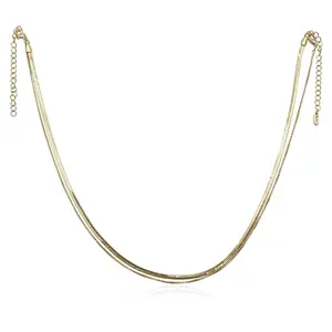 Vintage Havana Daniella Layered Goldtone Necklace