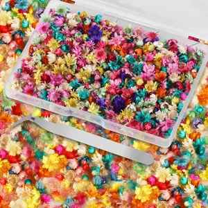 1000 Pcs Mini Dried Pressed Flowers for Resin, Small Dried Flowers for Resin Nails Crafts, Bulk Tiny Flowers for DIY Epoxy Resin Accessories Jewelry Earrings Soap Candle Making