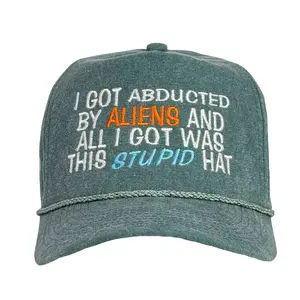 I Got Abducted By Aliens and All I got Was This Stupid Hat
