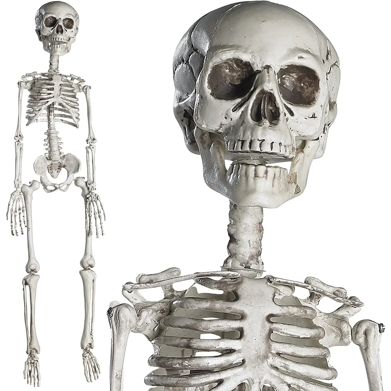 Prextex 30 Inch Halloween Giant Skeleton - Full Body Halloween Skeleton with Movable Joints for Best Halloween Decoration Prextex
