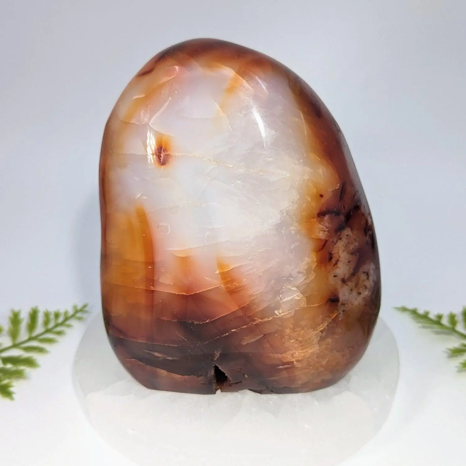 Carnelian 5-inch Red-Orange Chalcedony Freeform
