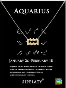 Aquarius Constellation Zodiac Pendant Necklace Astrology Gold Tone Chain with Gold Message Card for Women Jewelry