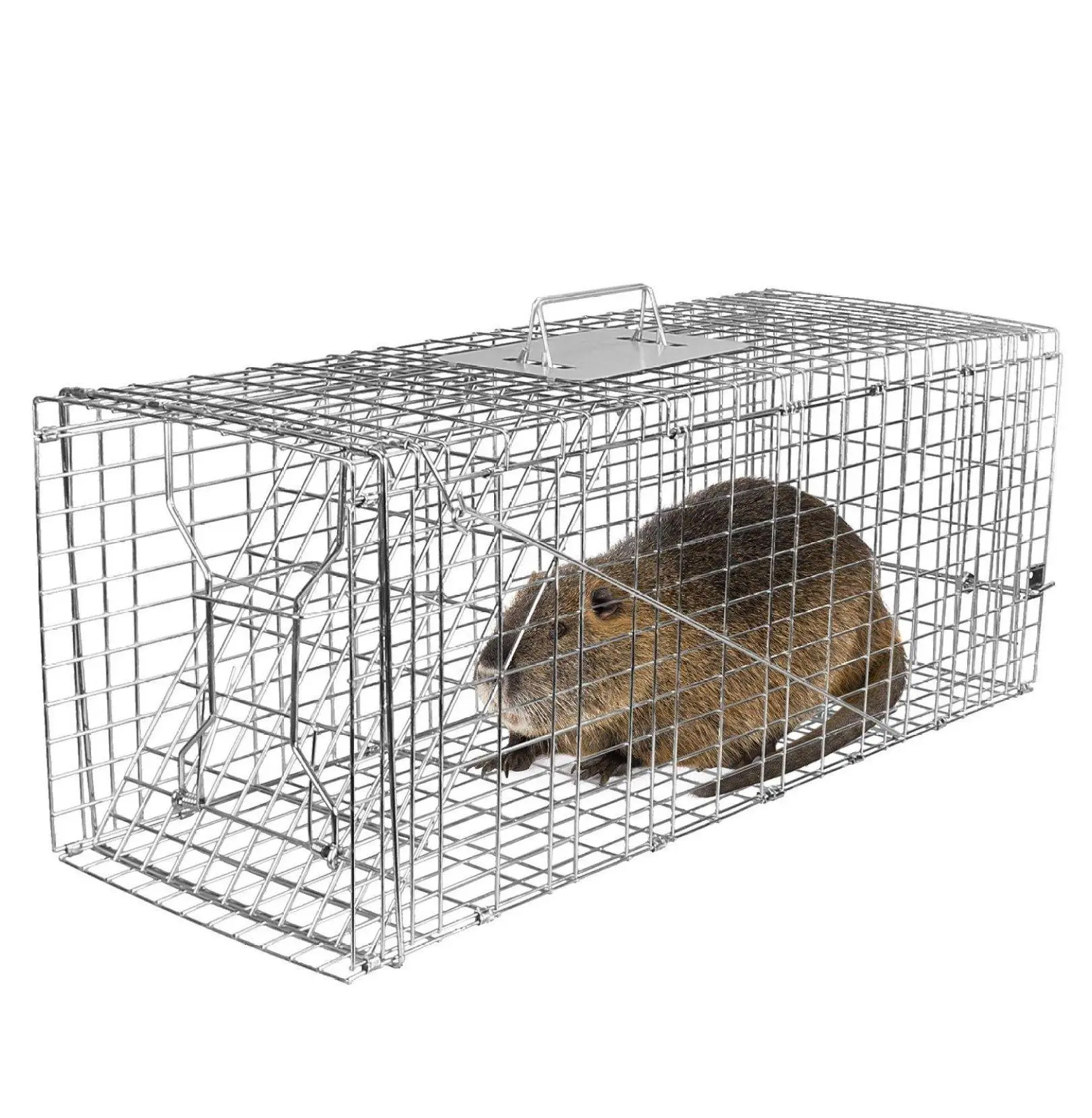 Cat Trap Cage - Humane Live Animal Trap, Collapsible Galvanized Wire for Raccoons, Groundhogs, Foxes 30.51x11.02x11.81in