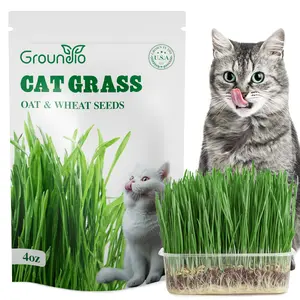 Grow Fresh Cat Grass Seeds at Home! Non-GMO Wheat & Oat Seeds Mix, USA-Grown, High Germination – Perfect for Indoor Cats