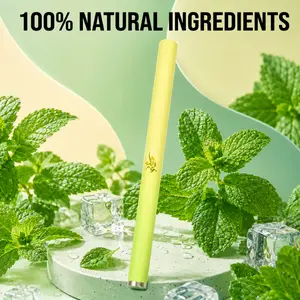 Compact Double-End Mint Freshness Aroma Stick, Ideal for Night Learning Sessions, Extended Travel Itineraries, Regular Workplace Use, Discreet Pocket Carry & Reusable Replaceable Design