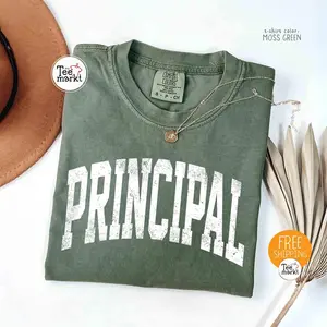 Comfort Colors Principal T-Shirt, Vintage School Principal Tee, First Day of School Principal Present Shirt, Teacher's Day Gift Shirt