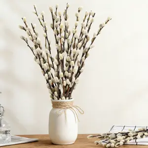 Dried PussyWillow Branches - 15 Stems 17” Natural Preserved Real Willows, Snow Pussywillows for Indoor & Outdoor Decor, Dried Flowers for Vase Arrangements & Home Decor