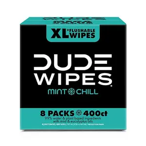 DUDE Wipes Flushable Wipes, Extra Large, Mint Chill Wipes (400 ct.)