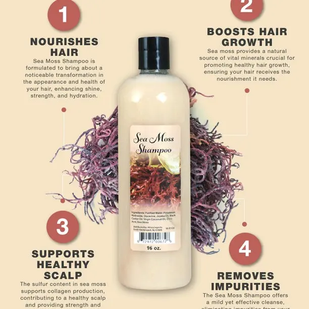 Sea Moss Hair Care Set - 200g Sea Moss Shampoo & Conditioner for Stronger, Healthier, and Hydrated Hair with Vitamins & Minerals Support - Comfort