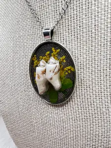 “Persephone” Coyote Molar Teeth Necklace