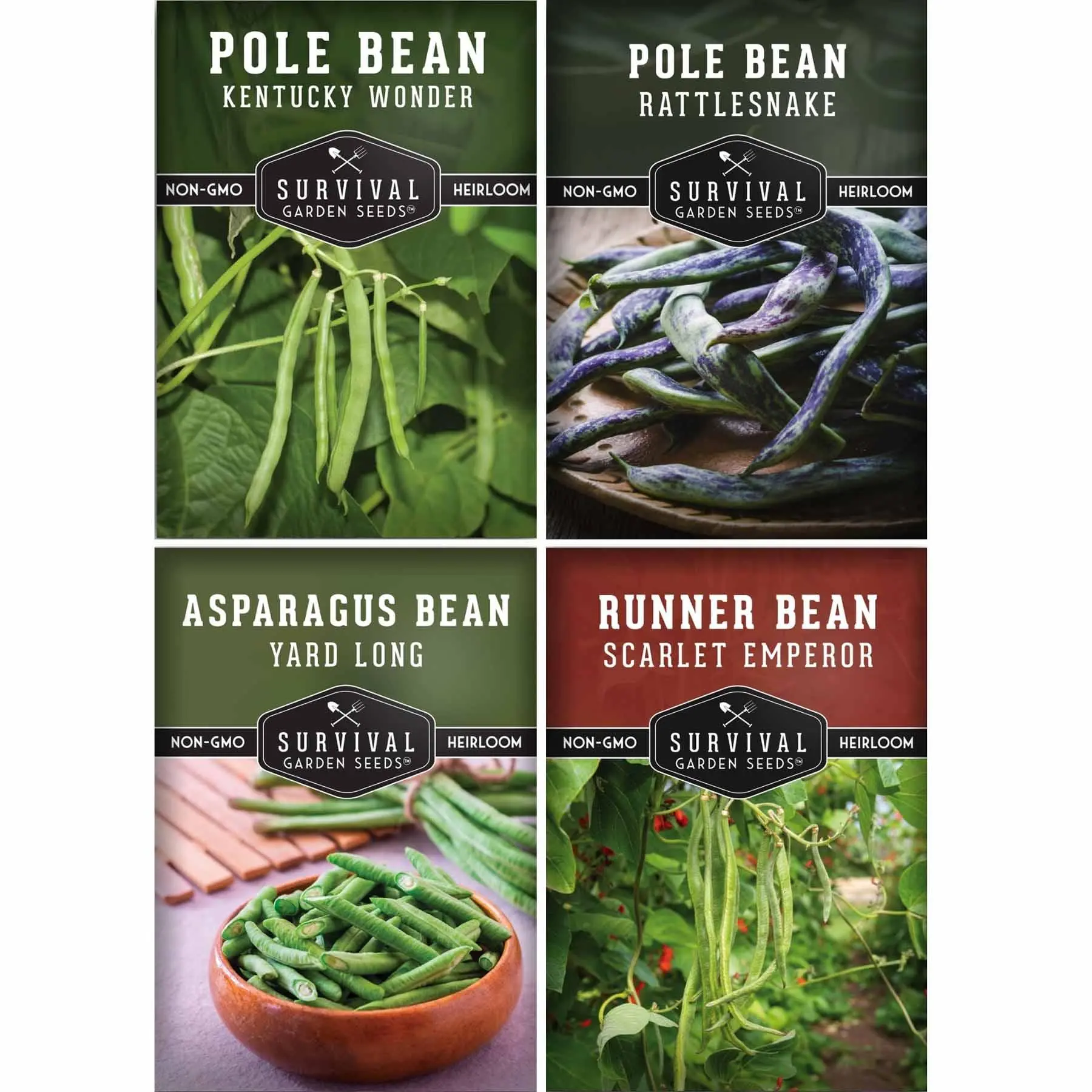 Pole Bean Seed Collection – 4 Heirloom Climbing Varieties for Trellises & Vertical Gardens