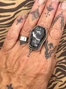 Venus-Zebra Jasper Coffin Statement Ring