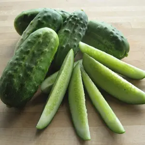 National Pickling Cucumber Organic Seeds (Cucumis sativus) – Firm, crisp fruits – Perfect for pickling and fresh eating.
