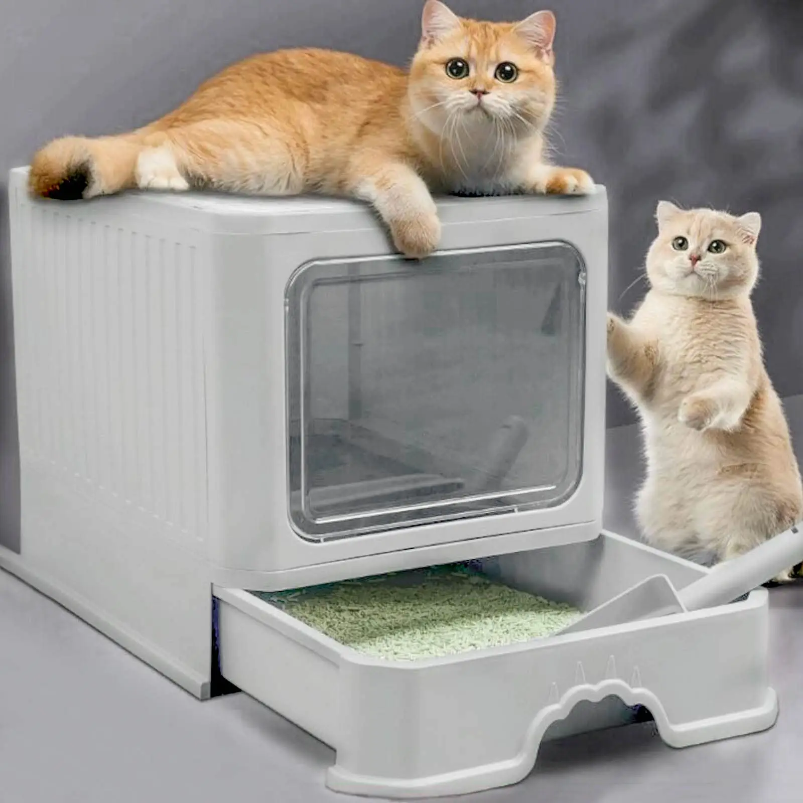 Cat Litter Box with Lid,Ascotsun Covered Cat Litter Box,Litter Box with Door,Foldable Enclosed Litter Box,Anti-Splash Kitty Litter Box,with Scoop Easy