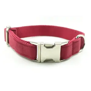 Pet Traction Collar Dog Collar