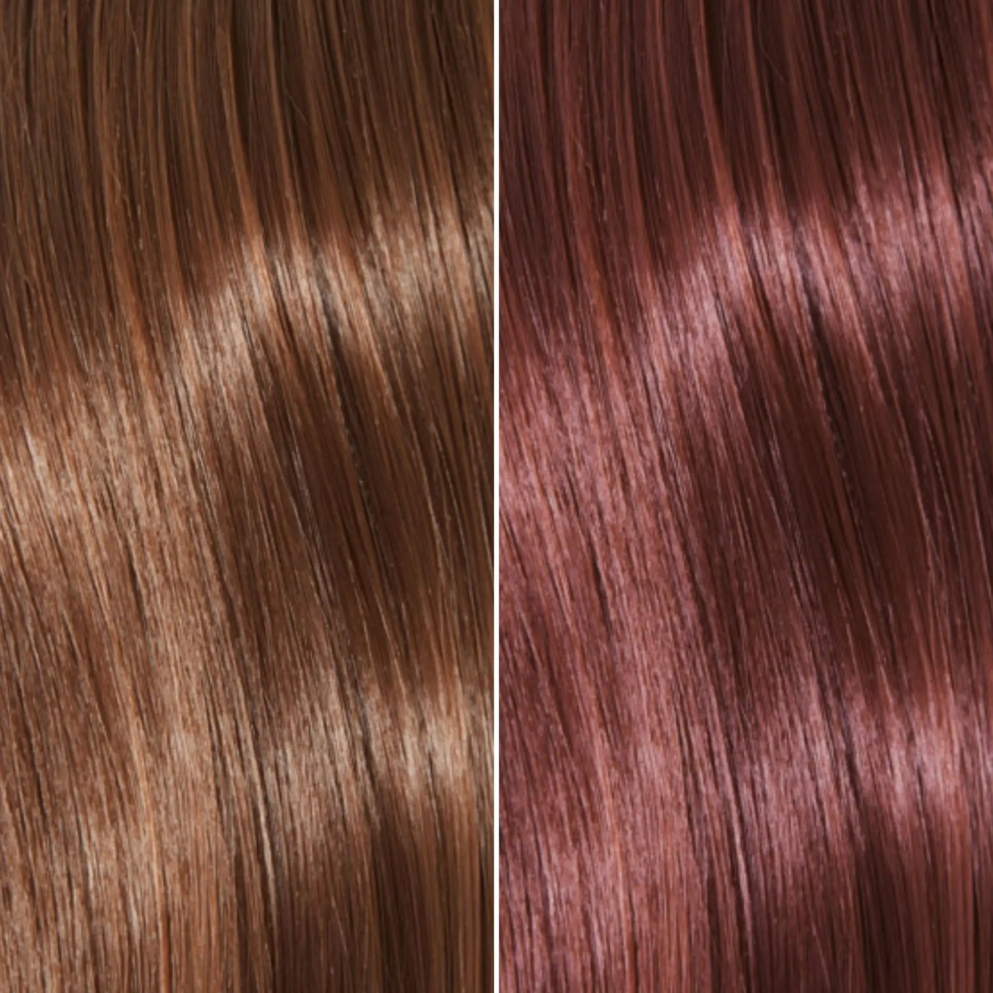 Good Dye Young Front Row Trio Electric Purple with Pink Undertones