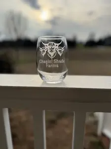 20 oz. Stemless Wine Glass