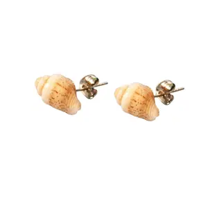 Conch Shell Post Earrings