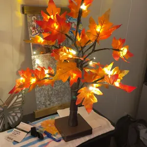review image 1