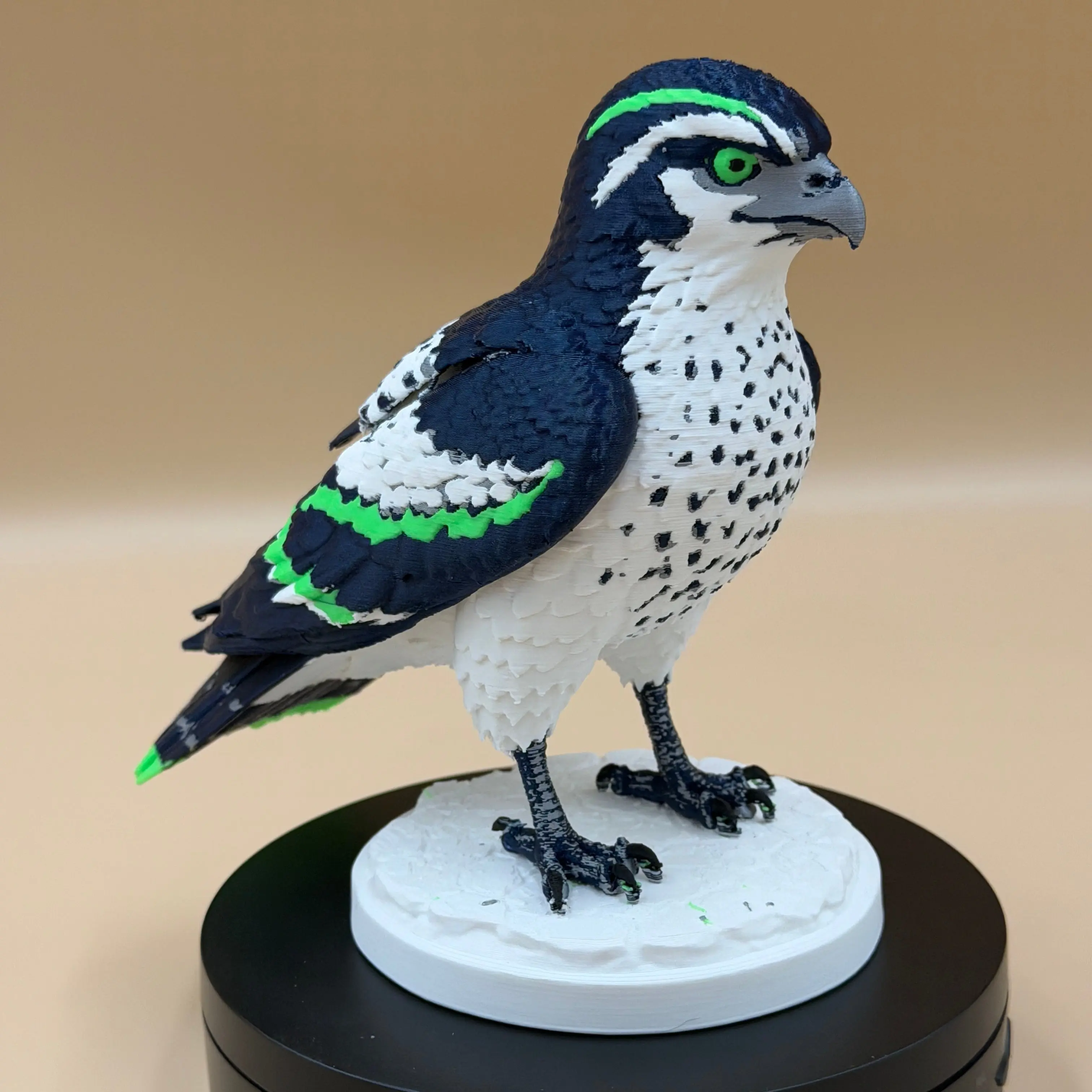 Magestic Sea Hawk