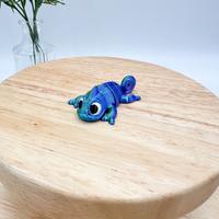 Chameleon - Galaxy Rainbow