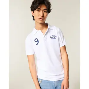 Hollister Icon Polo