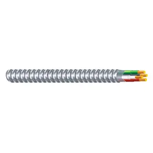 212 MAIN Flexible Metal Conduit - 25 ft, 3-Conductor, 12 Gauge, Aluminum Clad (AFC Cable Systems 2105S22-AFC) for Sports & Outdoor Cycling Equipment, Flexible Conduit