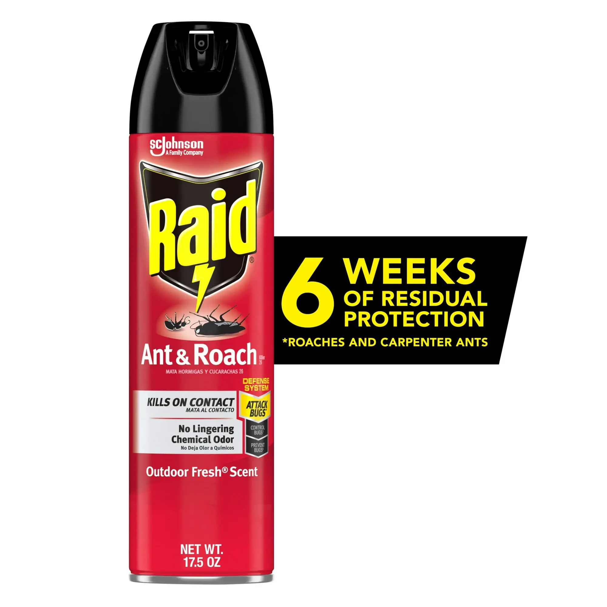 Raid Ant & Roach Insect Killer, Indoor Insecticide Spray, Outdoor Fresh Scent, 17.5 oz