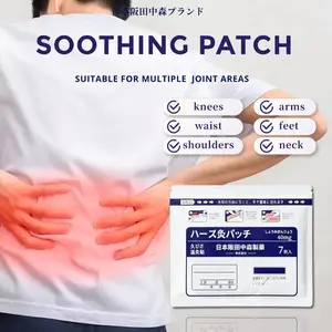 Bone Pain Patch Thermal Patches 6 Patches Bag No Attributes Specified for Bone Pain Relief