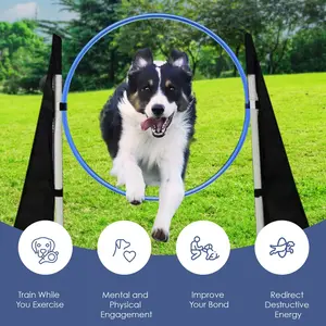 Houseables Dog Agility Course Backyard Set, Dog Agility Equipment, Obstacle Course Backyard, Training and Exercise Equipment, Play Tunnel, Weave Poles, Jumps, Pause Box for Playground, Park, Indoor