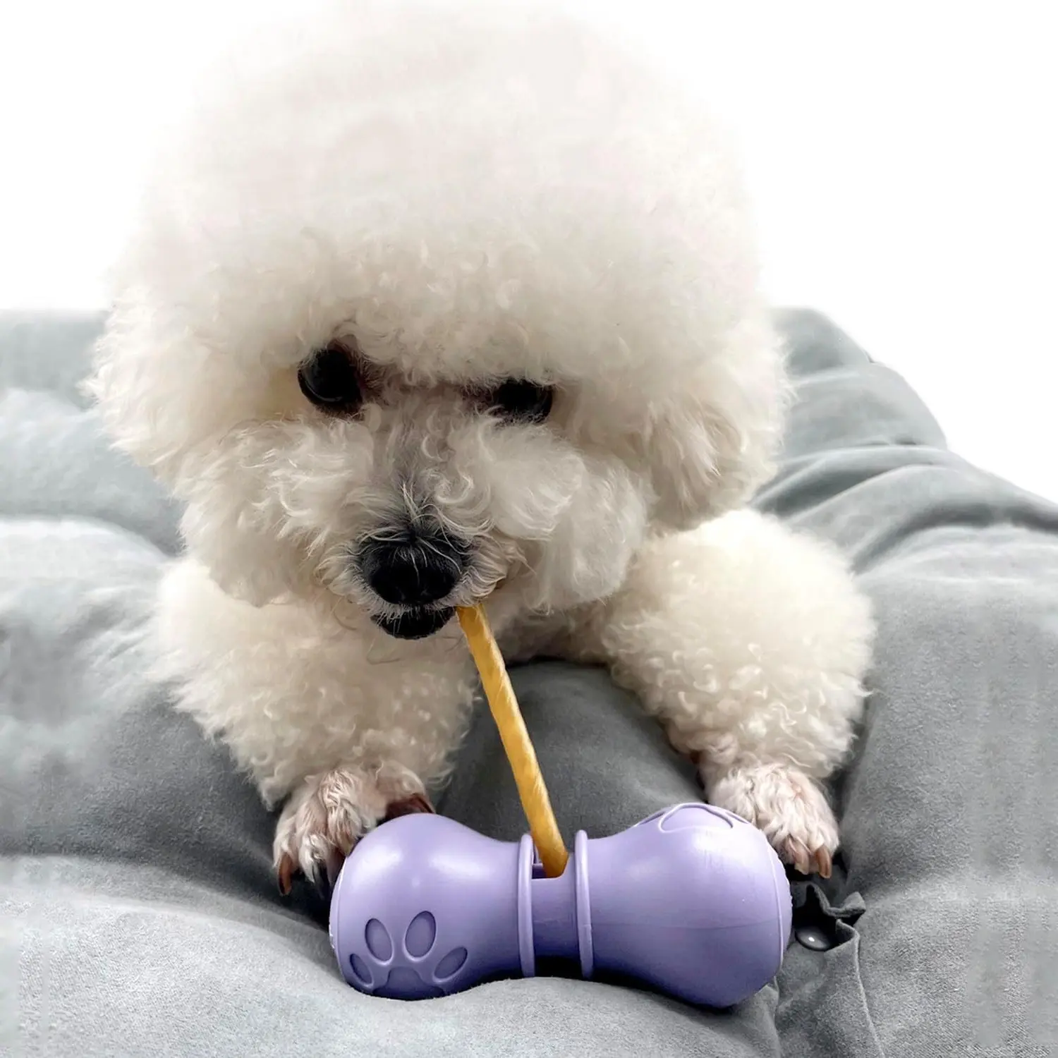Dog Bully Stick Holder - Safe Chew Treat Holder with Choking Prevention, Small, PurpleGift