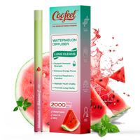 Watermelon mint
