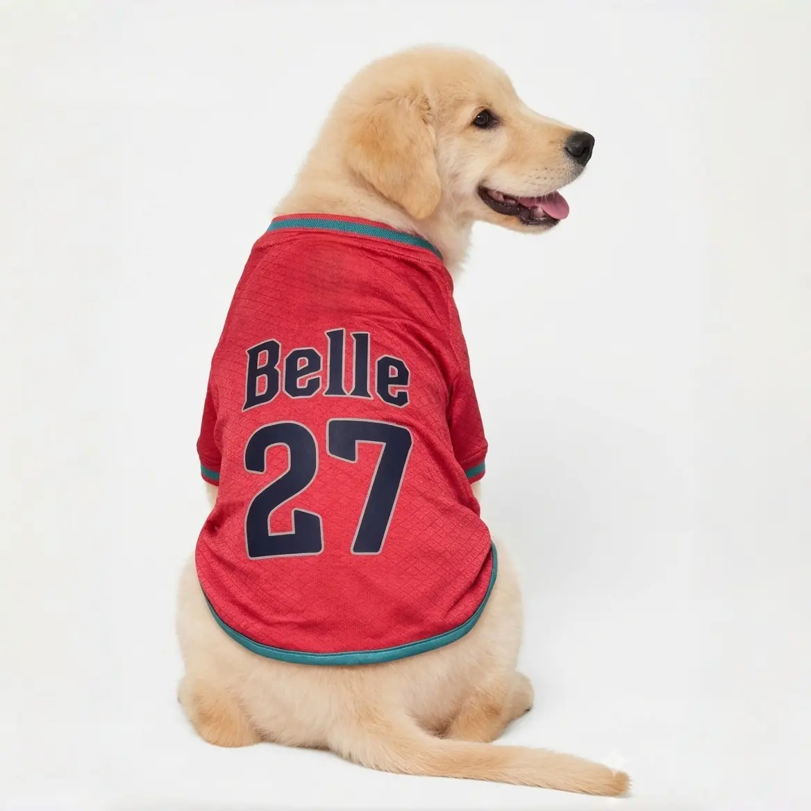 Personalized Dog Jersey - Custom Name & Number, Polyester Fiber Athletic Wear, Puppy Jersey Shirt, Team Stripes, Summer Pet Clothing with 8 Sizes for Small & Large Dogs, Multi-Size