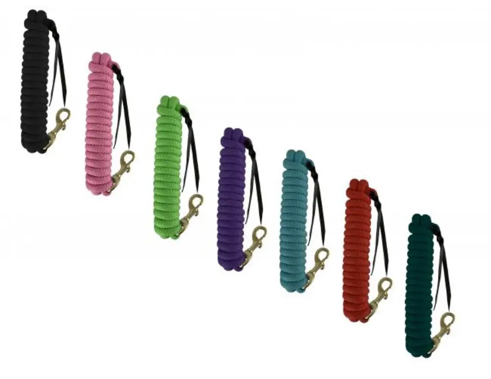 14' Leather End Nylon Pro Braid Training Lead Rope