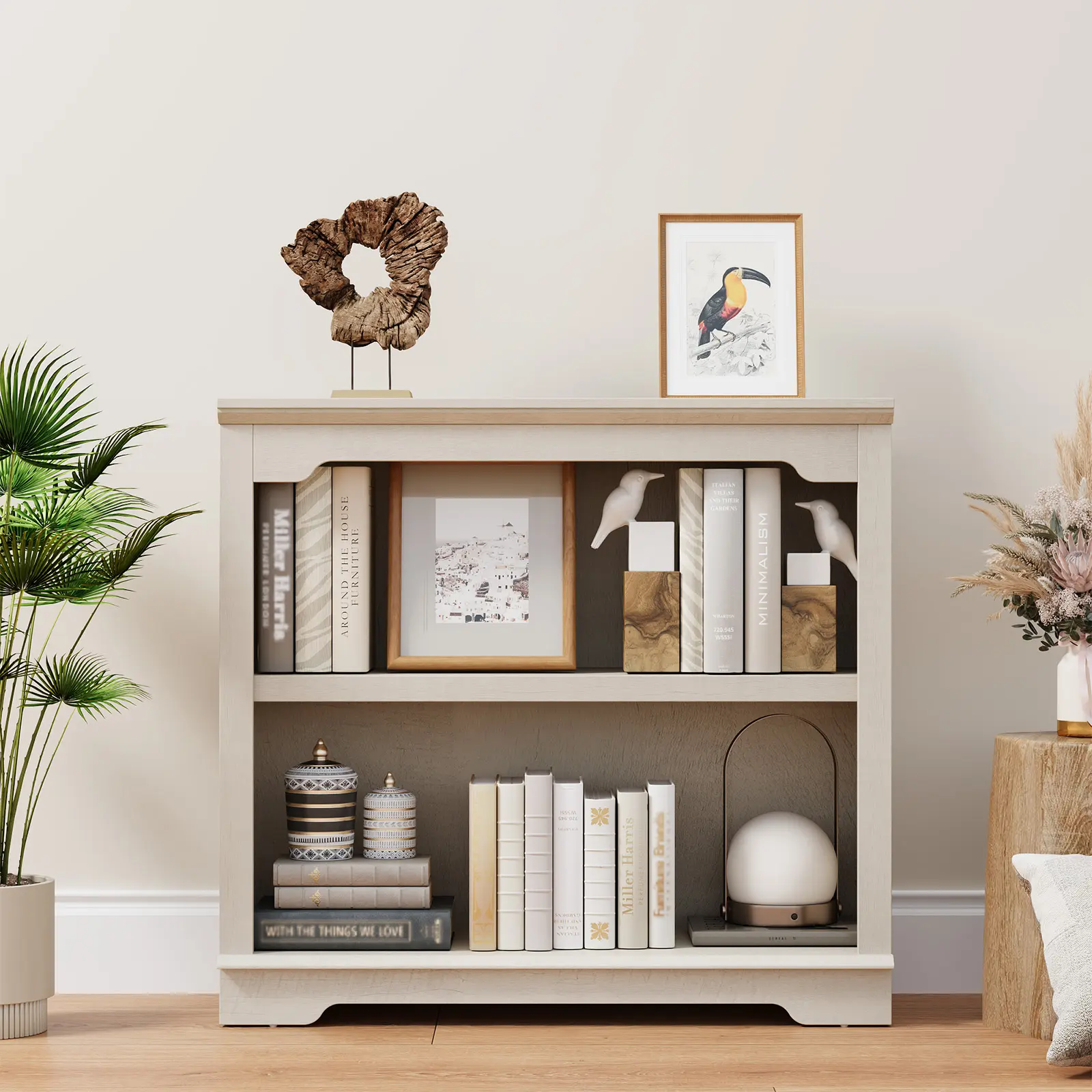 2-Shelf Wood Cherry Bookcase, 31.5" Wide 25.8" Tall Freestanding Shelf with Arched Edges, Superior Load-Bearing Open Storage (65 lbs per Tier) for Study Room & Home Office, 25.8 Inches Tall