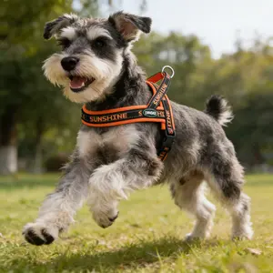 Adjustable Dog Harness Vest No Pull Pet Chest Strap Breathable Walking Leash for Small Medium Breeds Corgi Teddy Bichon Frise Adjustable Safety Harness