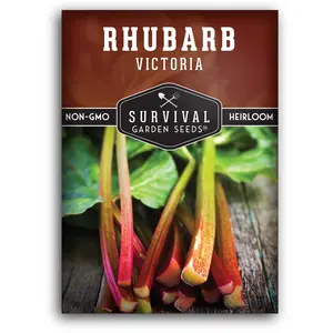 Victoria Rhubarb Seeds