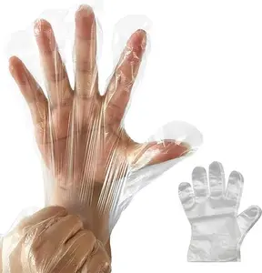 Disposable Plastic Gloves Bulk, Clear Food Handling Service Gloves for Kitchen Food Prep Food Service Food Handling(500pcs)
