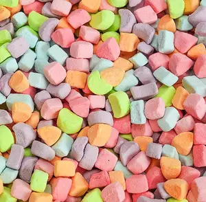 Sarah's Candy Factory 16 oz Assorted Dehydrated Marshmallow Bits Cereal Marshmallows in Resealable Bag