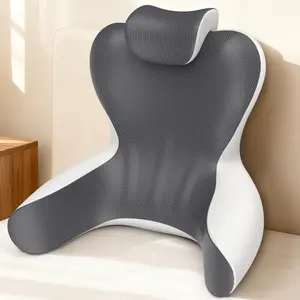 Maternity & Kid-Friendly Contoured Memory Foam Reading Pillow, Breathable Detachable Crystal Velvet Backrest with Lumbar & Neck Support, Ideal for Bedtime Reading & Relaxing, Lumbar Support