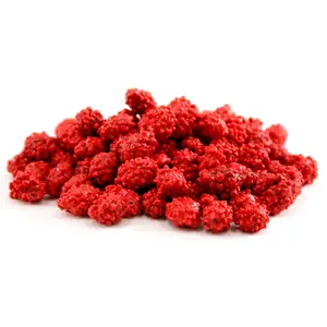 L'Orenta Gourmet French Burnt Peanuts 1 Pound Resealable Bag