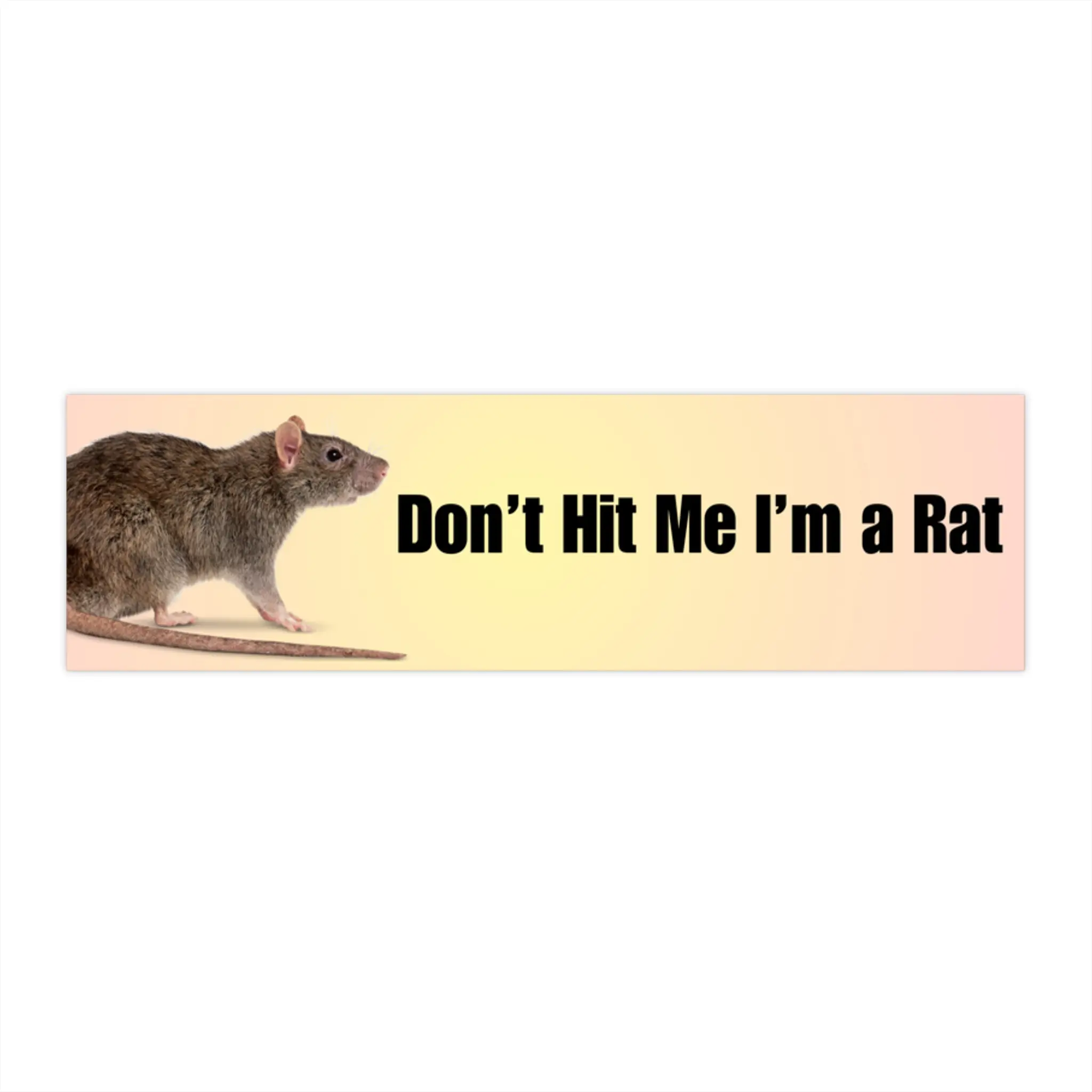 Funny Rat Bumper Stickers, Quirky Car Decal for Animal Lovers, Humor Sticker, Novelty Road Trip Gift, Don't Hit Me I'm a Rat