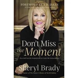 Don't Miss the Moment: How God Uses the Insignificant to Create the Extraordinary by Sheryl Brady [Paperback Book]