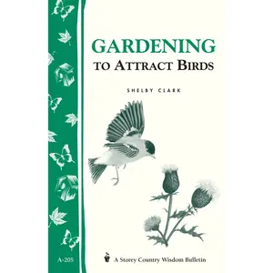 Gardening to Attract Birds