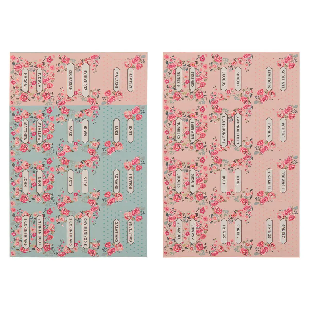 Pink and Blue Old and New Testament Bible Indexing Tabs