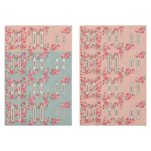 Pink and Blue Old and New Testament Bible Indexing Tabs